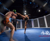 MMA Käfigkampf Age of Cage