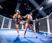 MMA Käfigkampf Age of Cage