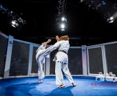 MMA Käfigkampf Age of Cage