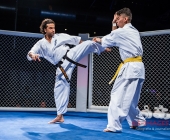 MMA Käfigkampf Age of Cage