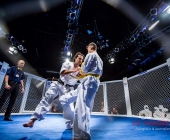 MMA Käfigkampf Age of Cage