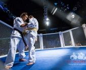 MMA Käfigkampf Age of Cage