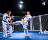 MMA Käfigkampf Age of Cage