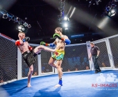 MMA Käfigkampf Age of Cage