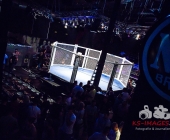 MMA Käfigkampf Age of Cage