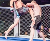 MMA Käfigkampf Age of Cage