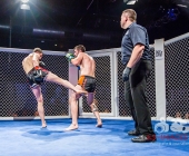 MMA Käfigkampf Age of Cage