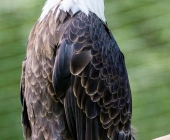 Tierischer Nachwuchs im Wildpark