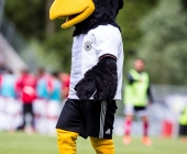 SGV Sonnenhof gegen den VFB Stuttgart