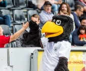 SGV Sonnenhof gegen den VFB Stuttgart