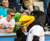 SGV Sonnenhof gegen den VFB Stuttgart