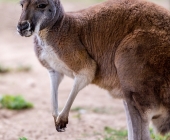 Bilder aus der Wilhelma