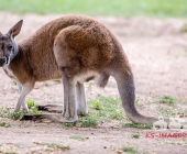 Bilder aus der Wilhelma