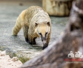 Bilder aus der Wilhelma