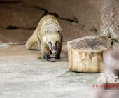 Bilder aus der Wilhelma