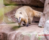 Bilder aus der Wilhelma