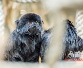 Bilder aus der Wilhelma