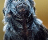 Bilder aus der Wilhelma