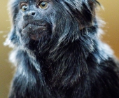 Bilder aus der Wilhelma