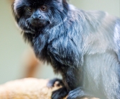 Bilder aus der Wilhelma