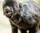 Bilder aus der Wilhelma