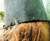 Bilder aus der Wilhelma