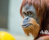 Bilder aus der Wilhelma