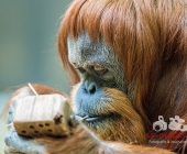 Bilder aus der Wilhelma