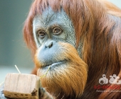 Bilder aus der Wilhelma