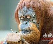 Bilder aus der Wilhelma