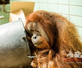 Bilder aus der Wilhelma