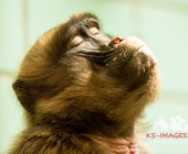 Bilder aus der Wilhelma