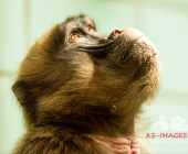 Bilder aus der Wilhelma