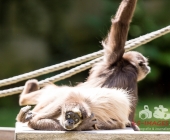 Bilder aus der Wilhelma