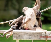 Bilder aus der Wilhelma