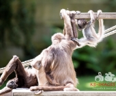 Bilder aus der Wilhelma