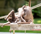 Bilder aus der Wilhelma