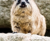 Bilder aus der Wilhelma