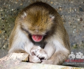 Bilder aus der Wilhelma