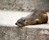 Bilder aus der Wilhelma