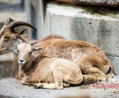 Bilder aus der Wilhelma