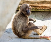 Bilder aus der Wilhelma