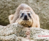 Bilder aus der Wilhelma