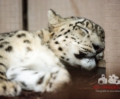 Bilder aus der Wilhelma