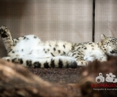 Bilder aus der Wilhelma