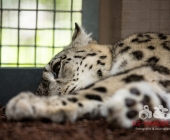 Bilder aus der Wilhelma