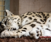 Bilder aus der Wilhelma