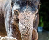 Bilder aus der Wilhelma