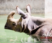 Bilder aus der Wilhelma