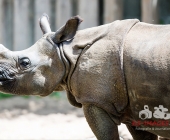 Bilder aus der Wilhelma